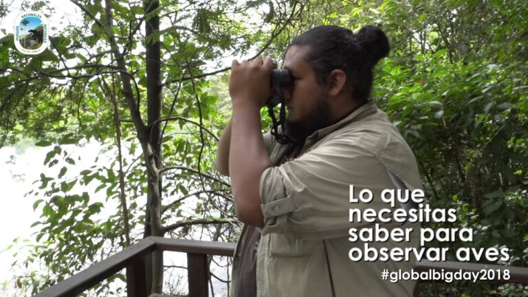 Mejores destinos para avistamiento de aves