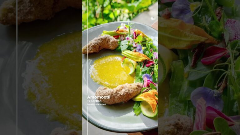 Explorando experiencias culinarias en la ciudad