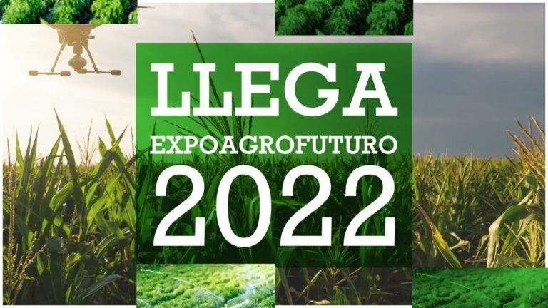 Conexiones importantes en Bogotá: Guía rápida