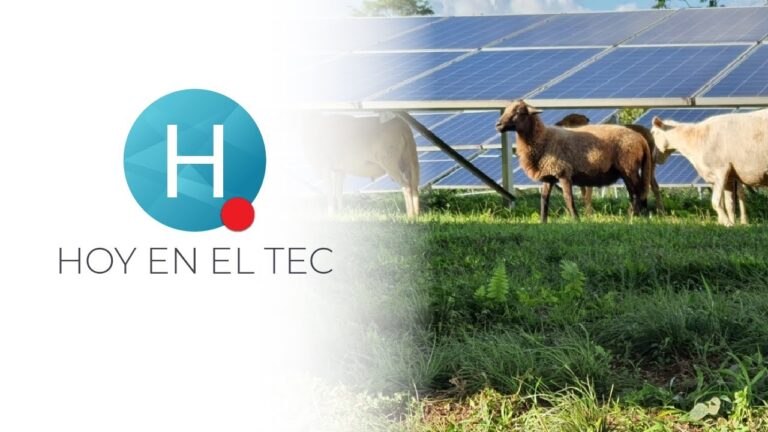 Emprendimientos Tecnológicos en la Capital: Innovación y Crecimiento