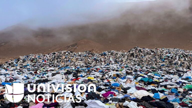 El impacto ambiental de la fotograf&iacute;a de moda