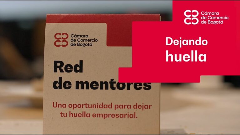 Oportunidades de voluntariado en Bogotá: Cómo contribuir al cambio social