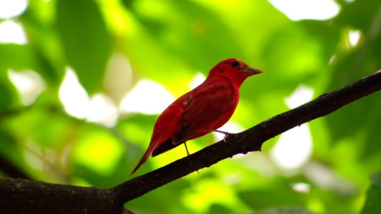 Los Mejores Puntos de Observaci&oacute;n en Bogot&aacute;