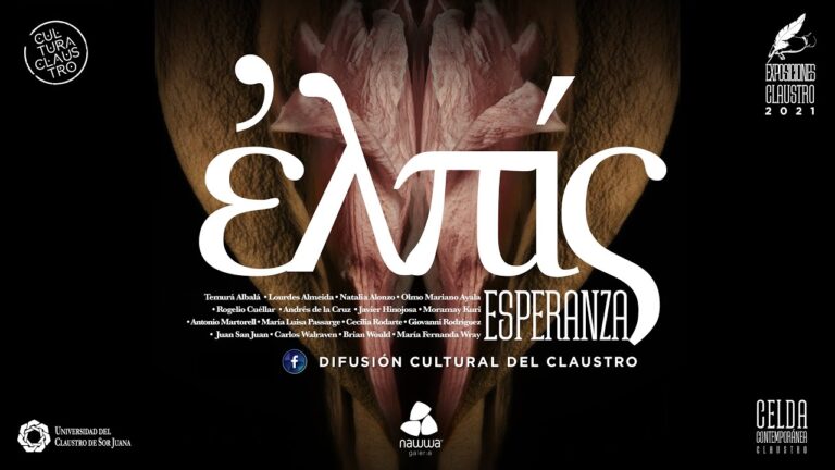 Explorando exposiciones fotográficas: un recorrido visual