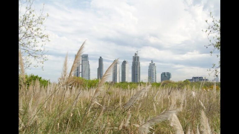 Explorando las Reservas Naturales en la Ciudad