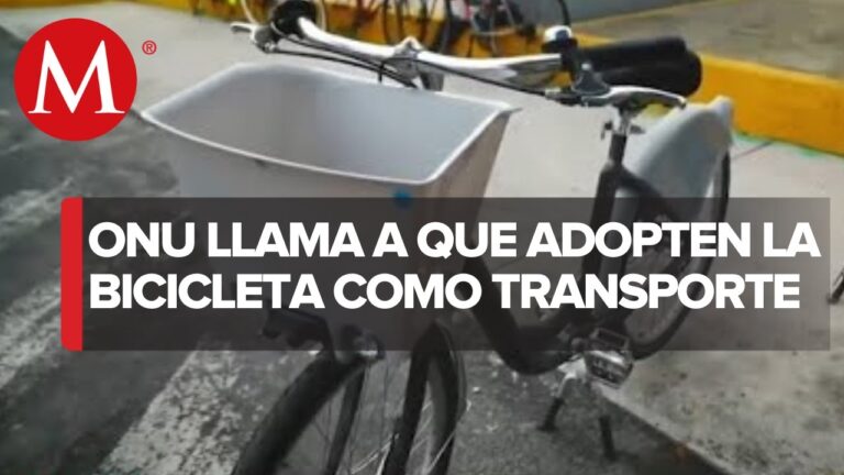 Mejorando la movilidad urbana: Sistema de transporte en bicicleta