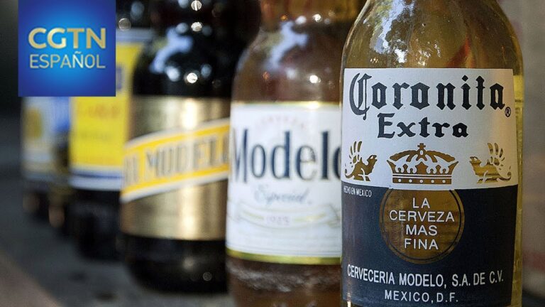Gu&iacute;a de bares de cerveza artesanal en la ciudad