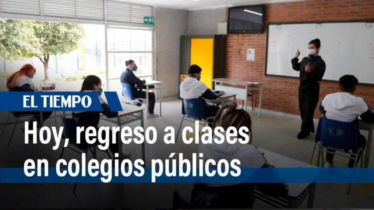 La comunidad estudiantil en Bogot&aacute;: Un an&aacute;lisis conciso