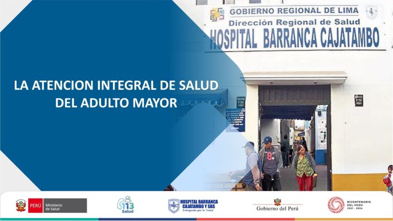 Programas de Salud Geriátrica en la Ciudad: Una Visión General