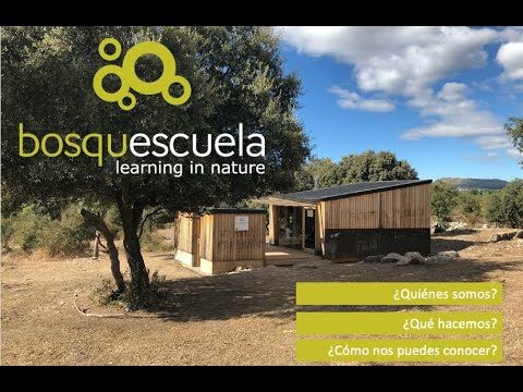 Creatividad urbana al aire libre