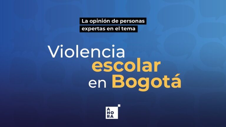 Seguridad escolar en Bogot&aacute;: retos y soluciones
