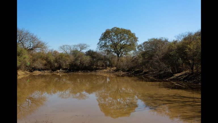Explorando los Parques Naturales Urbanos