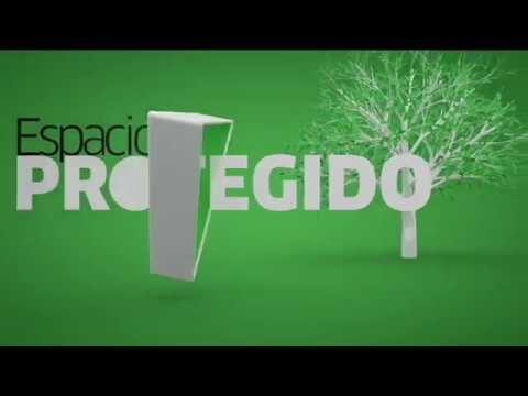 Transporte sostenible en la ciudad: soluciones eficientes
