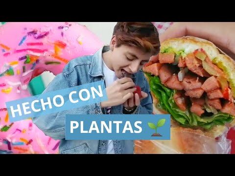 Explorando la gastronomía vegana en la ciudad