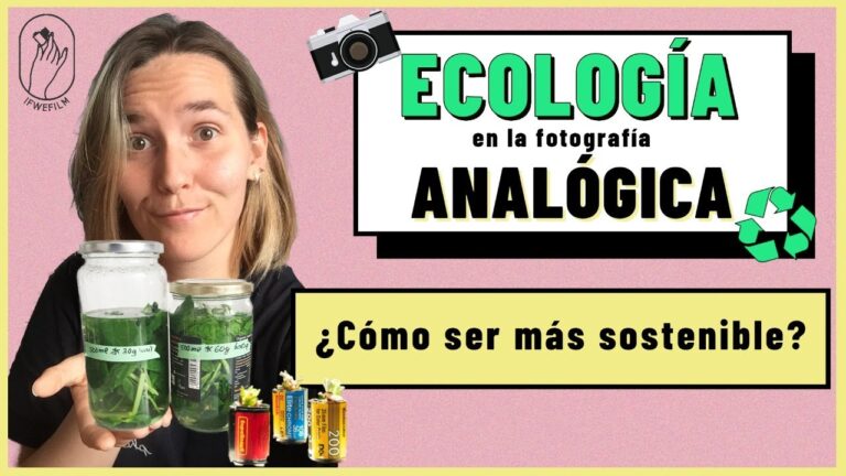 Estilo eco-friendly en la fotograf&iacute;a: Gu&iacute;a definitiva