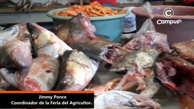 Productos Frescos en la Feria del Agricultor: Una Experiencia Saludable