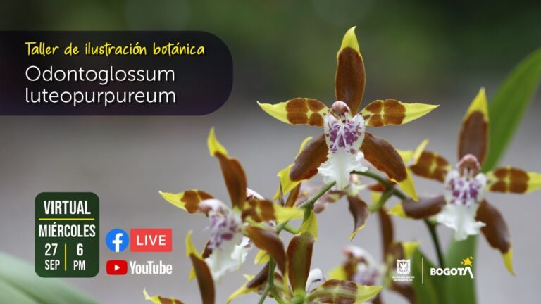 La belleza natural de las fuentes en Bogot&aacute;