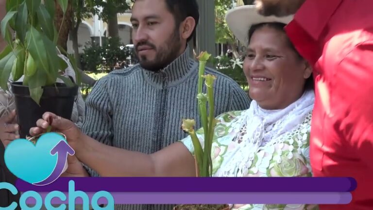 Ex&oacute;ticas Ferias de Plantas en la Ciudad