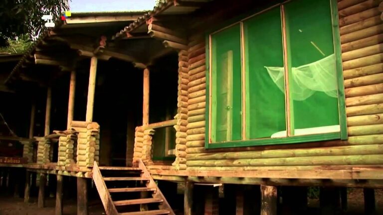 Explorando el ecoturismo en el Parque Nacional