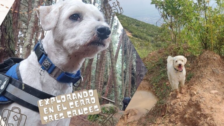 Explorando la naturaleza en Bogot&aacute; con ni&ntilde;os