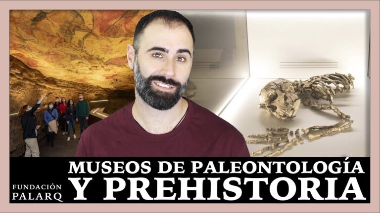 Descubre los mejores museos destacados