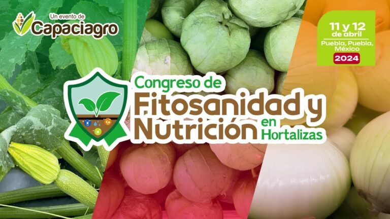 Eventos Hort&iacute;colas en la Ciudad: Una Gu&iacute;a Imperdible