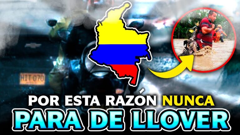 Diversidad cultural en los festivales de Bogot&aacute;