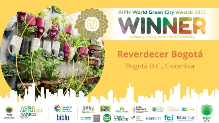 Aviones ecol&oacute;gicos en Bogot&aacute;: Una soluci&oacute;n sostenible para el transporte a&eacute;reo