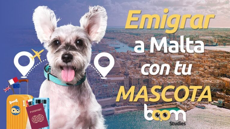 Mejores alojamientos para viajar con tu mascota en Bogot&aacute;