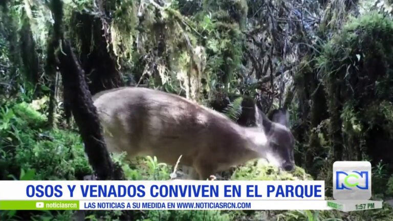 La biodiversidad en los parques de Bogot&aacute;