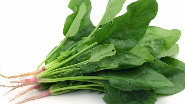 Productos Org&aacute;nicos en la Cocina de Bogot&aacute;