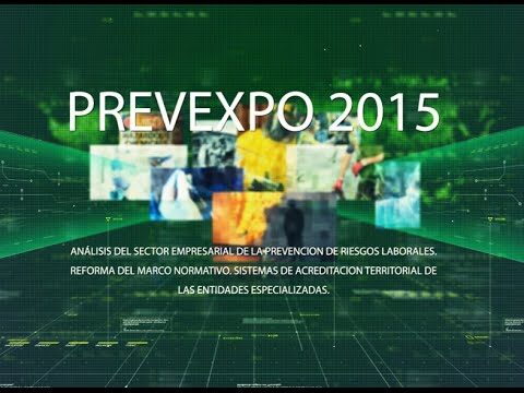 Análisis de riesgos en el sector empresarial: optimización y concisión