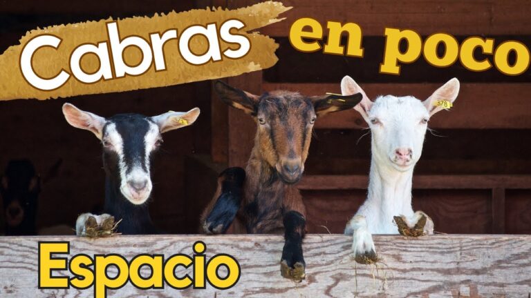 Pr&aacute;cticas Ecoamigables en Alojamiento