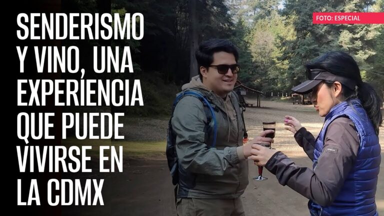 Degustaciones de vino en la ciudad: Una guía completa