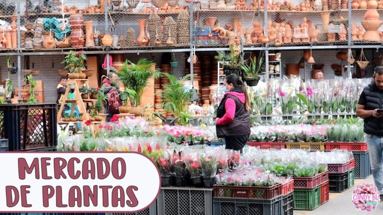 El encanto de los mercados y ferias en Bogotá