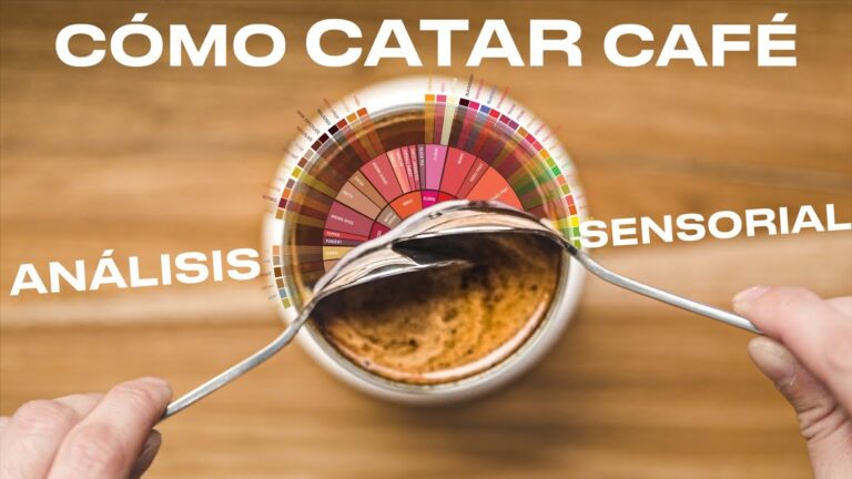 Explora la comida internacional en Bogot&aacute;