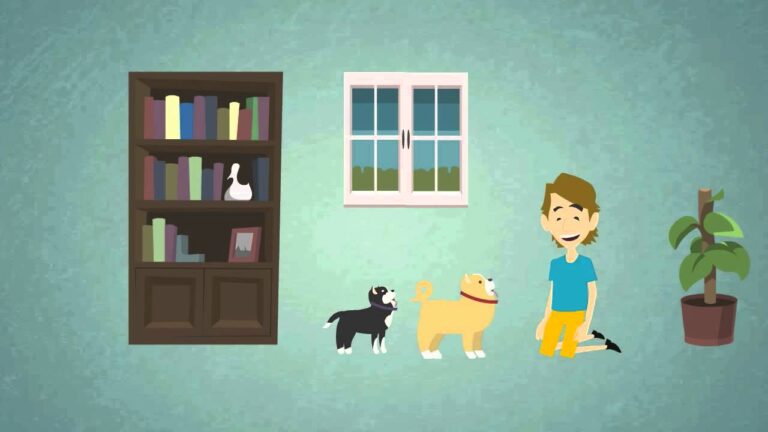 Experiencias de hospedaje con mascotas en Bogot&aacute;