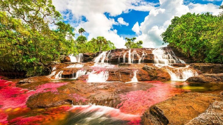 Explorando la belleza de la naturaleza y paisajes en La Macarena