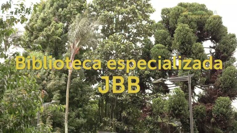 Gu&iacute;a de bibliotecas especializadas en Bogot&aacute;