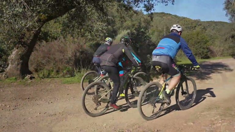 Senderos ciclistas en la capital: una gu&iacute;a completa