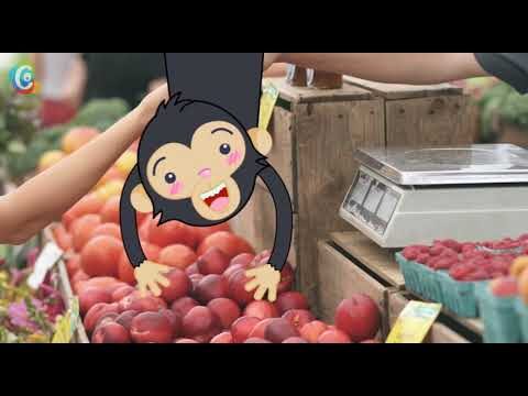 Exploración de la naturaleza urbana