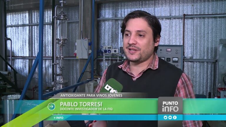 An&aacute;lisis sensorial de vinos en Bogot&aacute;: Descubre los sabores de la capital colombiana
