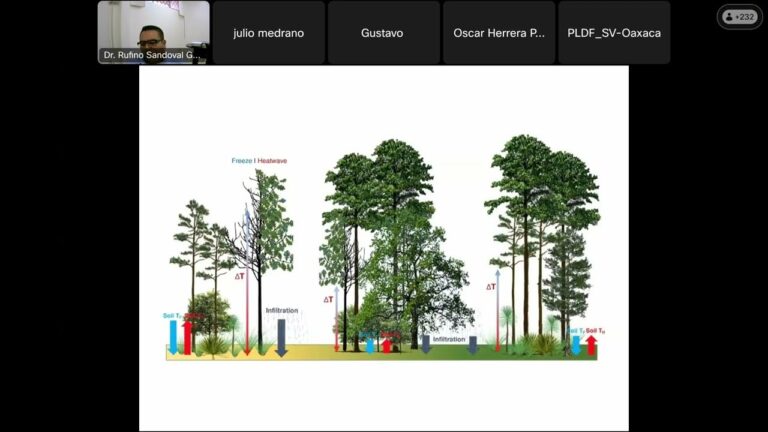 Estrategias para conservar áreas naturales