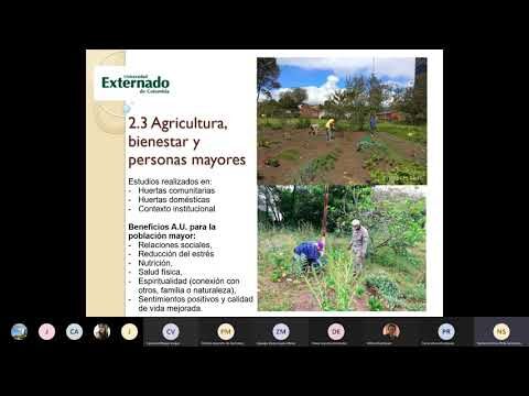 Recursos de bienestar en Bogotá: Una guía completa