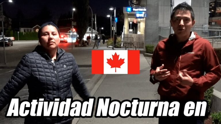 Actividades nocturnas en la ciudad: Una gu&iacute;a completa
