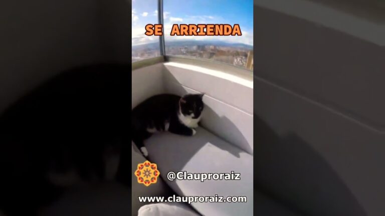 Disfruta la tranquilidad de los espacios verdes de Bogot&aacute;