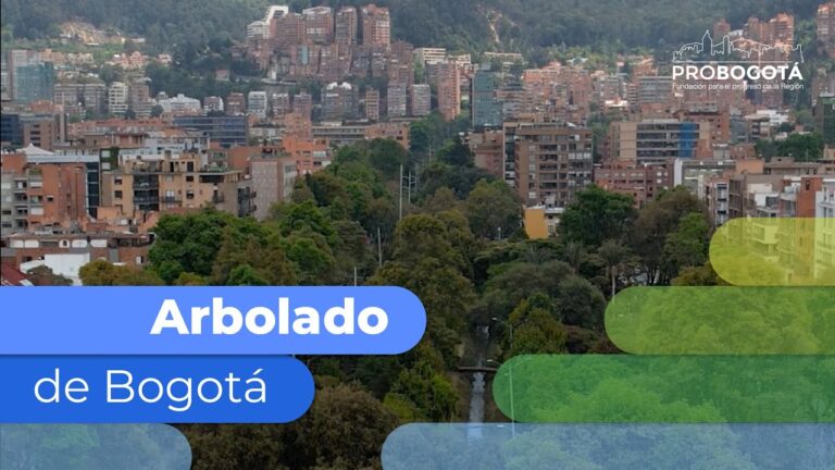 Explorando los paisajes urbanos de Bogot&aacute;