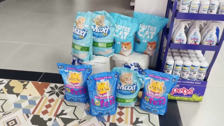 Encuentros Caninos en Bogot&aacute;: Uni&oacute;n y Diversi&oacute;n para Mascotas