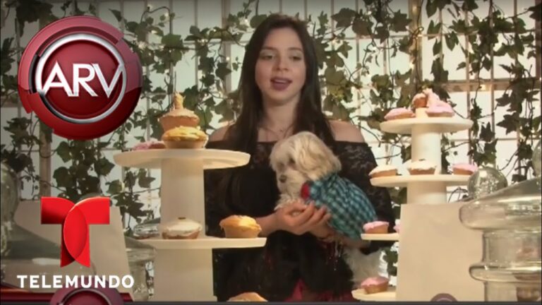 Servicios exclusivos en Bogot&aacute;: Una gu&iacute;a de experiencias &uacute;nicas