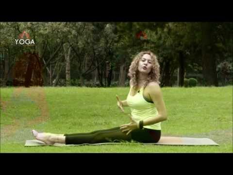 Yoga para principiantes en la capital